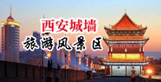 黄色深夜操逼网站中国陕西-西安城墙旅游风景区